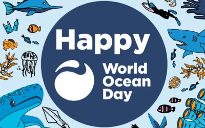 World Ocean Day 2026