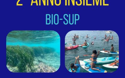 Biosup 2026