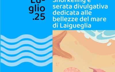 Snorkeling e serata a Laigueglia